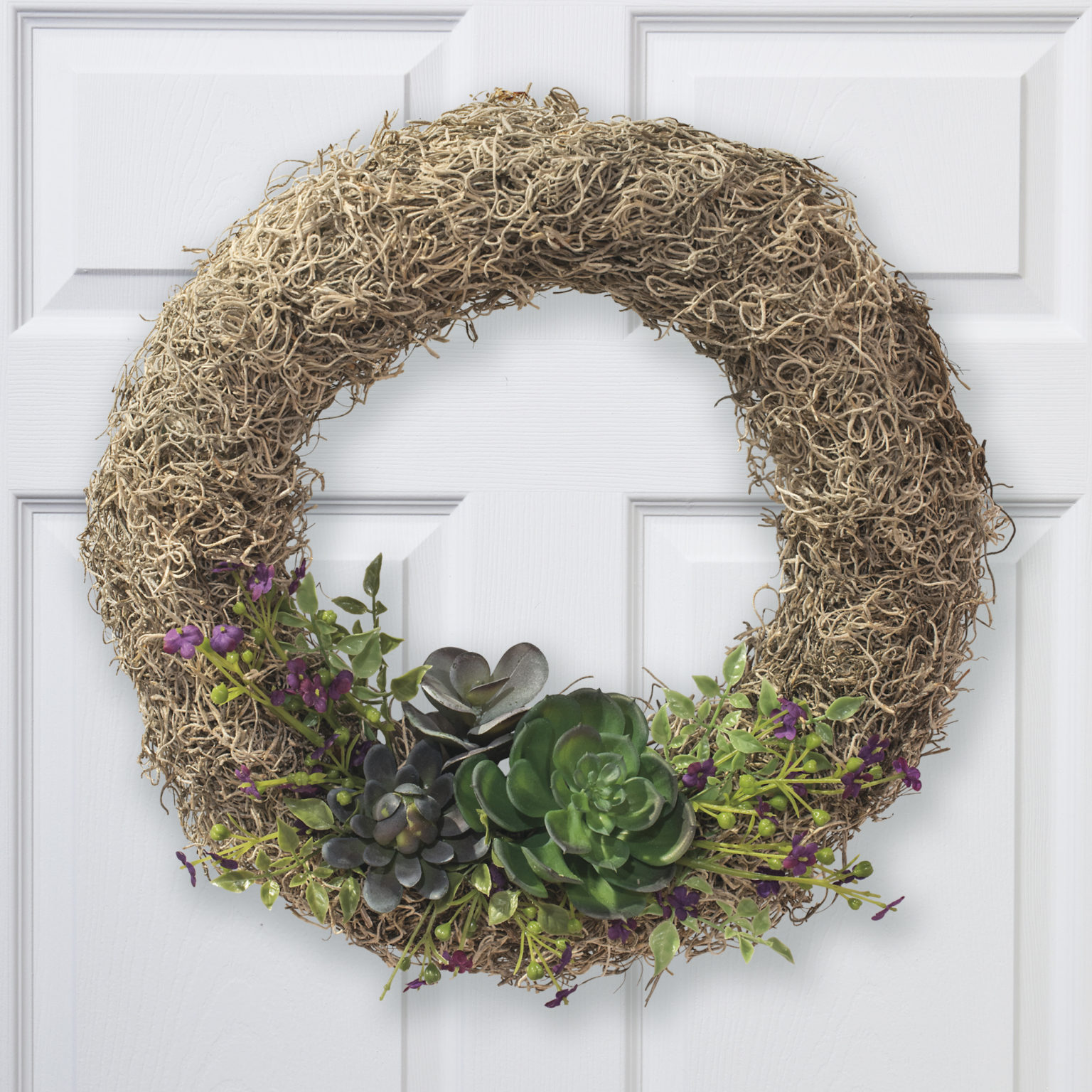 Moss Wreath With Succulents - FloraCraft